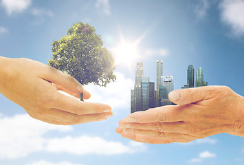 Image showing hands holding green oak tree and city buildings