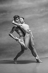 Image showing Couple of ballet dancers posing over gray background