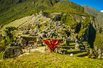 Image showing Settlement in greenery