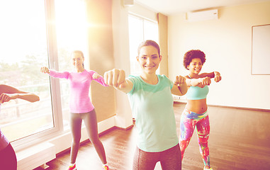 Image showing group of happy women working out in gym