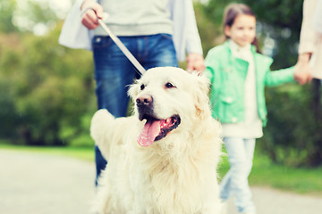 Image showing close up of family with labrador dog in park