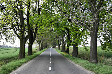 Image showing Straight road