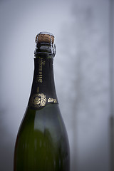 Image showing Misty Champagne