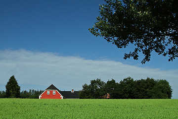 Image showing Red house in Danish landscapes in the summer