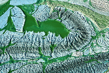 Image showing Blue-green algae on a lake in denmark