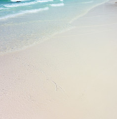 Image showing tropical beach