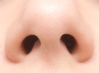 Image showing human nose