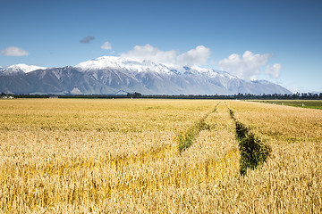 Image showing beautiful landscape in the south part of New Zealand