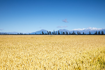 Image showing beautiful landscape in the south part of New Zealand