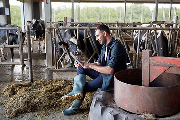 Image showing young man with tablet pc and cows on dairy farm