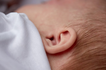 Image showing close up of baby ear