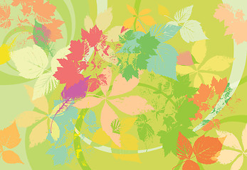 Image showing Summer bright green background with leafs