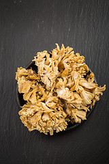 Image showing Maitake - Hen of the woods