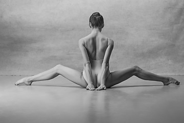 Image showing The ballerina is sitting with her back legs wide apart