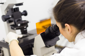 Image showing Life science researcher microscoping in genetic scientific laboratory.