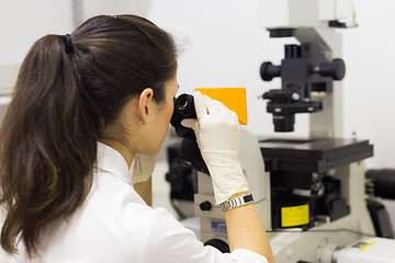 Image showing Life science researcher microscoping in genetic scientific laboratory.