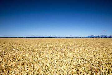 Image showing beautiful landscape in the south part of New Zealand