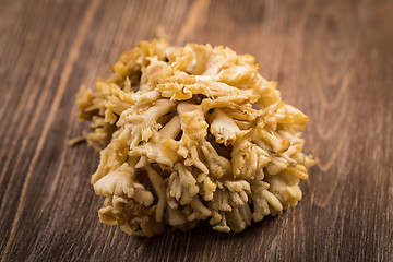 Image showing Maitake - Hen of the woods