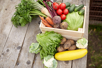 Image showing close up of vegetables on farm