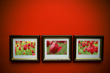 Image showing art frames on red wall