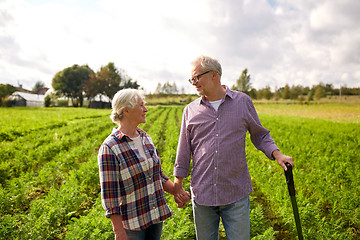 Image showing happy senior couple at summer farm