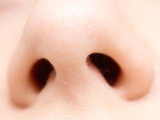 Image showing nose