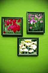 Image showing art photo frames