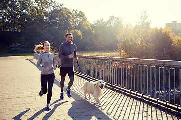 Image showing happy couple with dog running outdoors