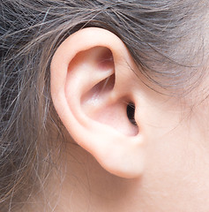 Image showing woman ear