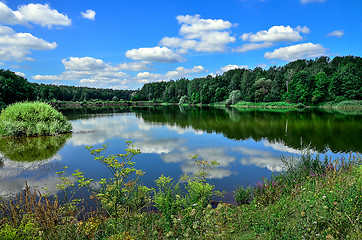 Image showing A beautiful summer landscape with a river, clouds and plants