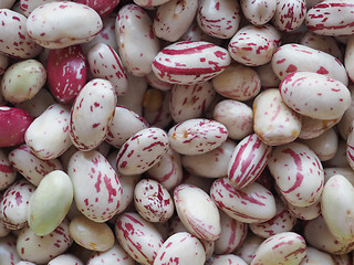 Image showing Crimson beans legumes vegetables