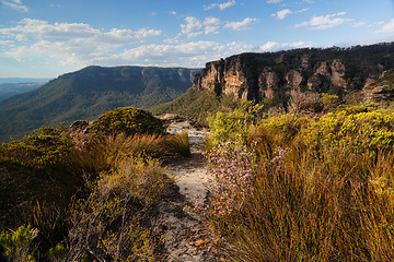 Image showing Walking track in Blue Mountains Australia