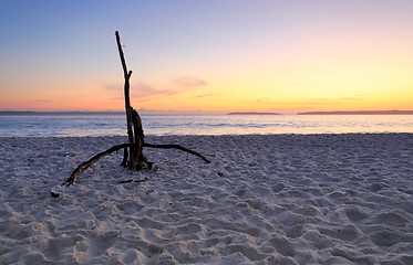 Image showing Dawn at Hyams Beach Jervis Bay