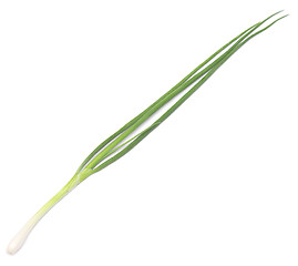 Image showing green onion