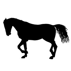 Image showing silhouette of black mustang horse illustration