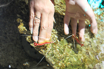 Image showing submerged 