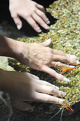 Image showing submerged 
