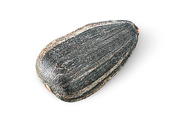 Image showing Single of sunflower seed rotated