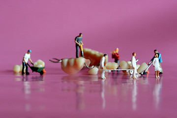 Image showing Miniature Workers Performing Dental Procedures. Dental Office Ar