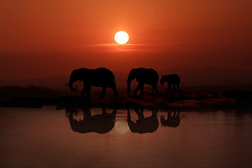 Image showing Family of 3 Elephants Walking In the Sunset
