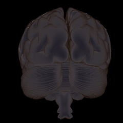 Image showing 3D illustration of human brain