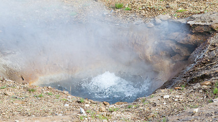 Image showing Little geyser - Iceland