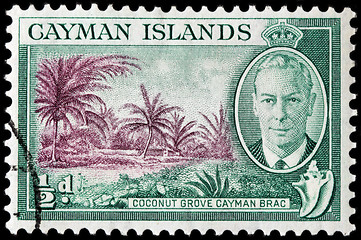 Image showing Coconut Grove Stamp