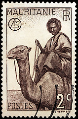 Image showing Nomand Man on Camel