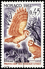 Image showing Barn Owl Stamp