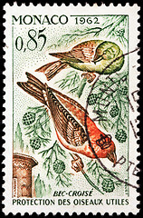 Image showing Red Crossbill Stamp