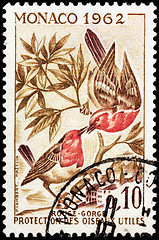 Image showing European Robin Stamp