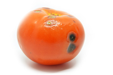 Image showing Rotten tomato isolated 