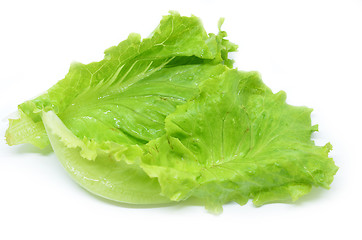 Image showing Green Chinese lettuce