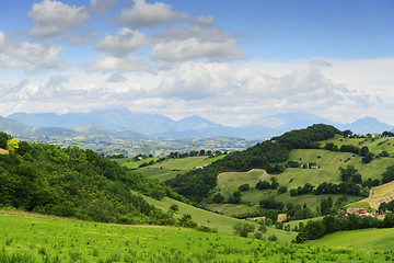 Image showing Typical landscape in Marche